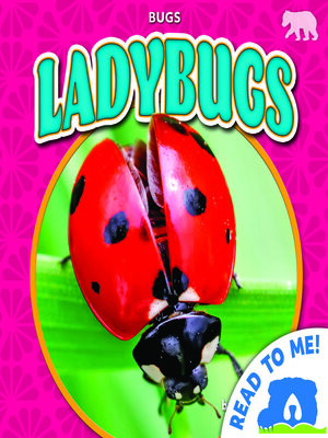 cover image of Ladybugs